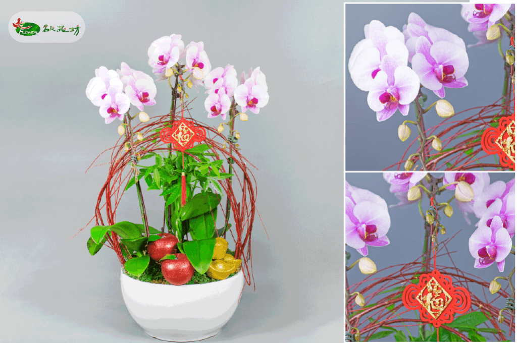 台中名人花坊│過年蘭花送禮