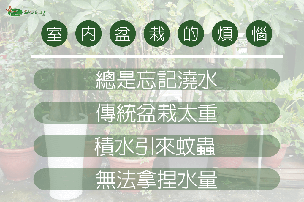 室內盆栽缺點｜室內盆栽台中