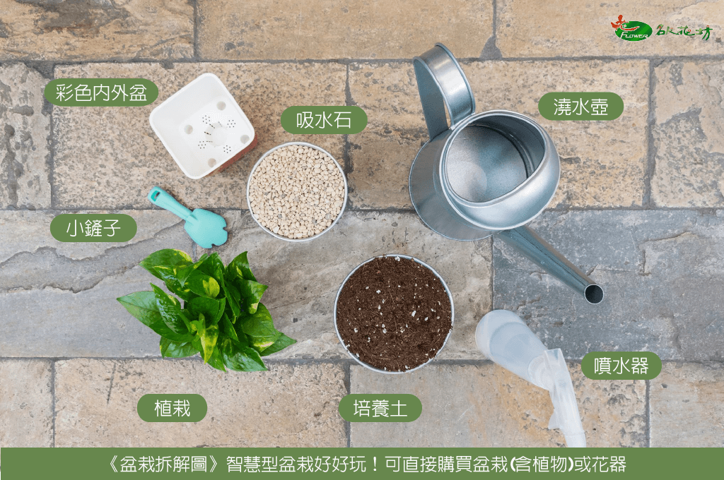 桌上型辦公室盆栽推薦｜推薦桌上型辦公室盆栽