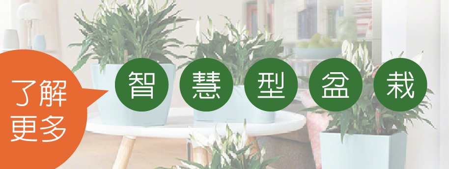 德國智慧型盆栽室內盆栽│名人花坊智慧型室內盆栽